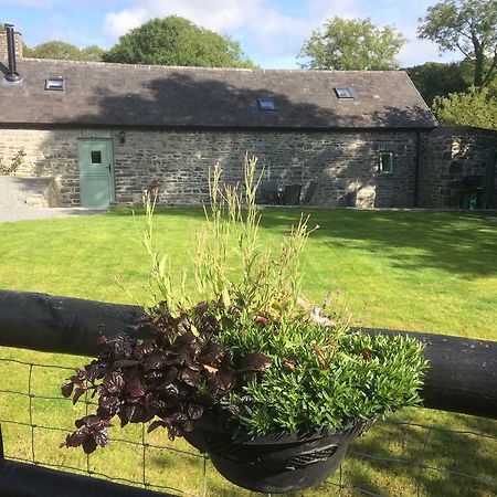 Villa The Bakery Llanddeiniol Exterior foto